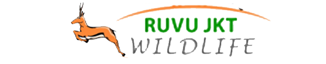My Website Logo